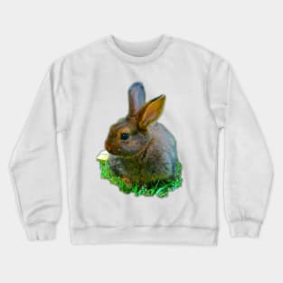 Little bunny Crewneck Sweatshirt